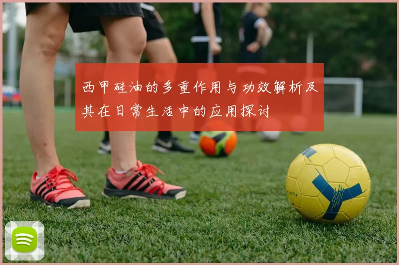 西甲硅油的多重作用与功效解析及其在日常生活中的应用探讨