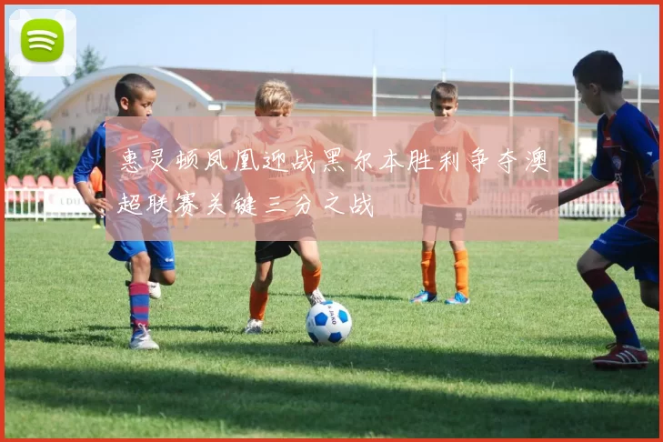 惠灵顿凤凰迎战黑尔本胜利争夺澳超联赛关键三分之战